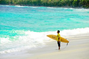 Person Holding Surfboard