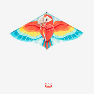 Decathlon Flugdrachen Kinder statisch - MFK 100 Papagei