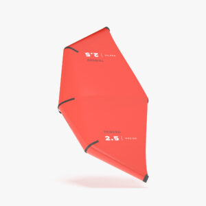 Decathlon Wing WNG 100 2